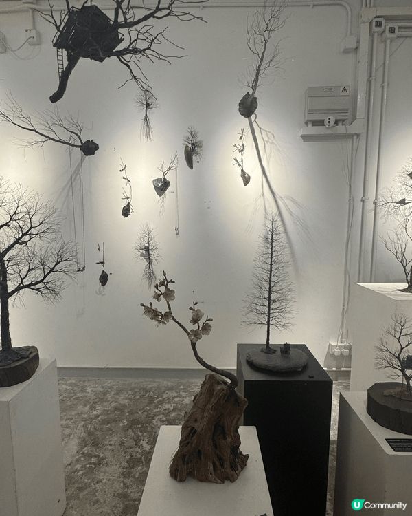 上環PMQ 好多藝術品看，免費入場，好岩放假去行下