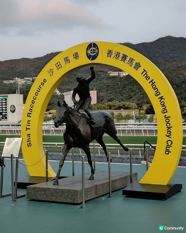 可能係周日沙田最熱鬧的地方