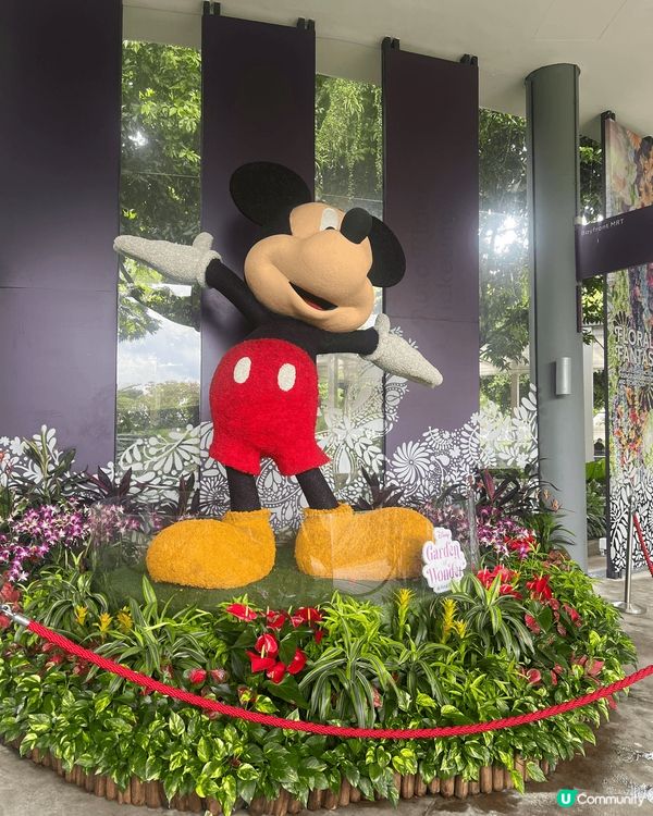 這是新加坡「濱海灣花園」首次與迪士尼聯名合作！ 新加坡的濱海...