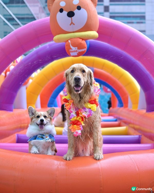 Home Square 「萌寵潑水節」💦