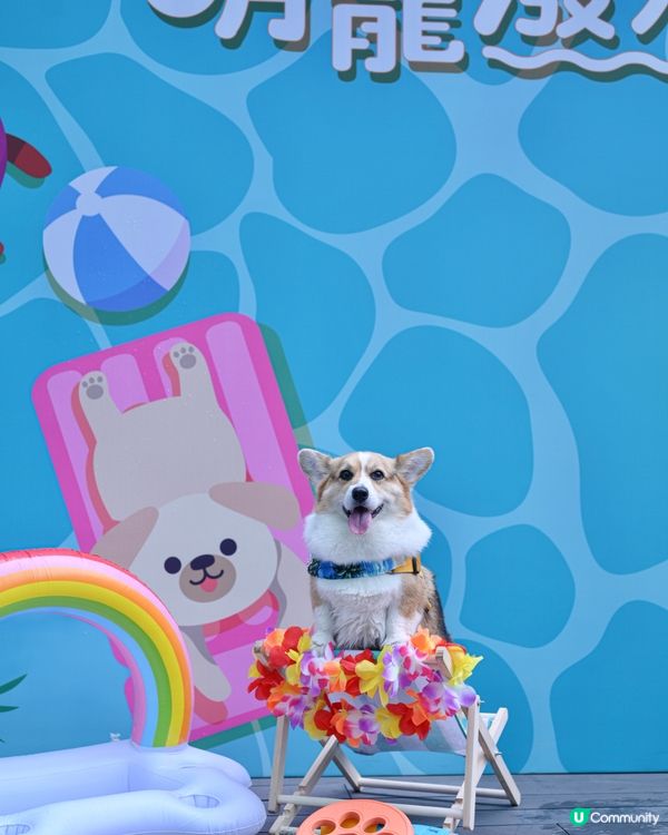 Home Square 「萌寵潑水節」💦