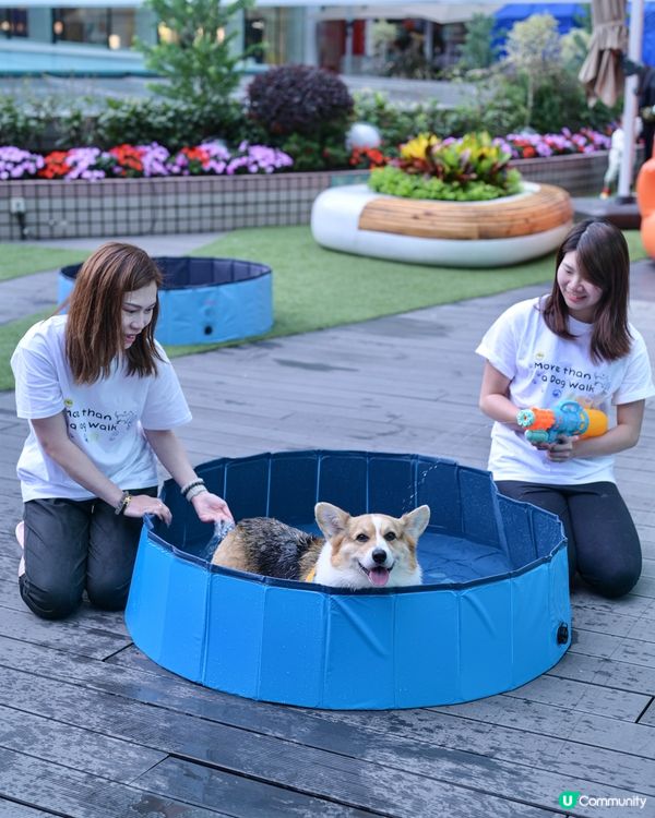 Home Square 「萌寵潑水節」💦