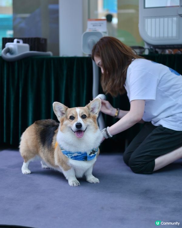 Home Square 「萌寵潑水節」💦