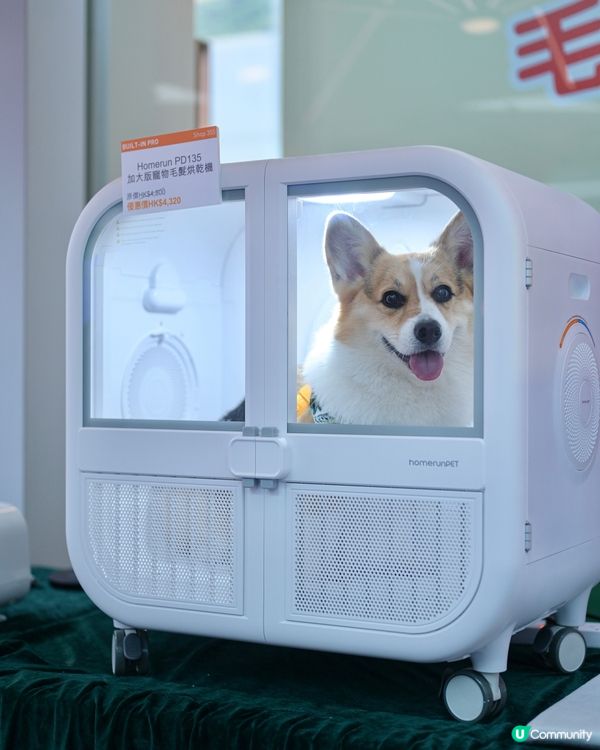 Home Square 「萌寵潑水節」💦