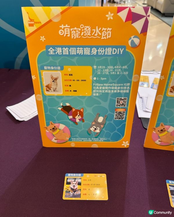 Home Square 「萌寵潑水節」💦