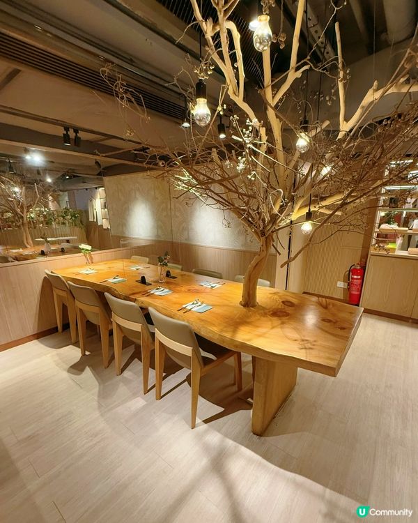 梳乎厘靚靚❤️