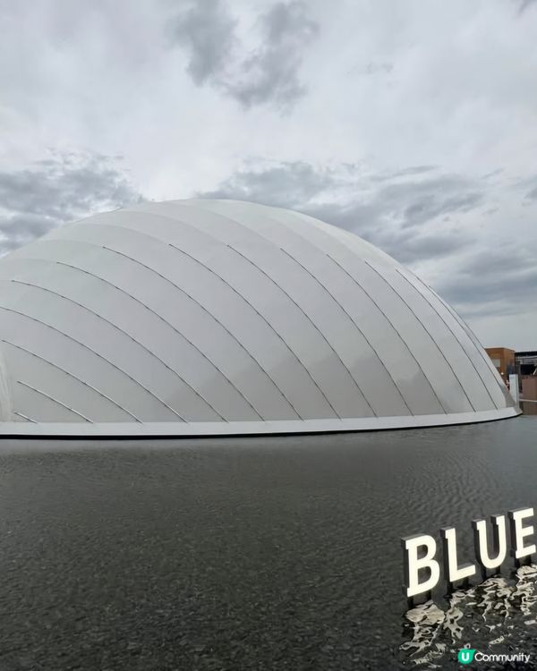 世博會有180個國家参與