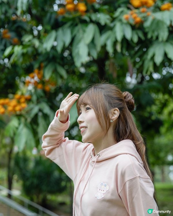 👕香港原創休閒服  👫情侶裝家庭裝  🔥60秒即印！