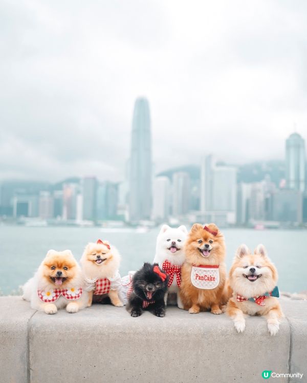 西九是個好地方🤲🏻