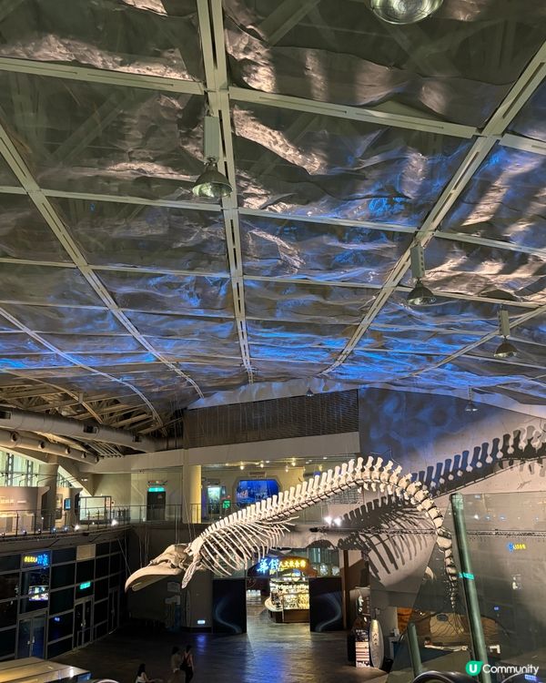 墾丁一天團🏟️ 行國立生物博物館🐟特色公園🏞️嘆海景咖啡店🥰