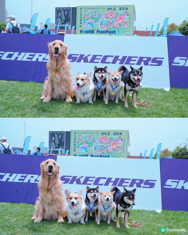 👟Skechers Friendship Walk 2025