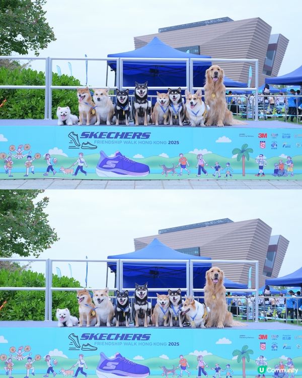 👟Skechers Friendship Walk 2025