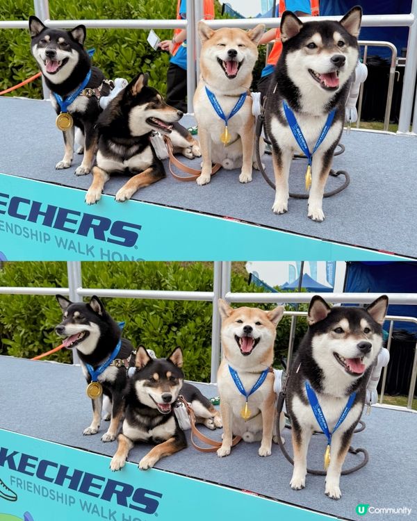 👟Skechers Friendship Walk 2025