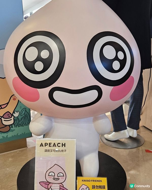 高雄義享時尚廣場 KAKAO FRIENDS高雄店 🤩