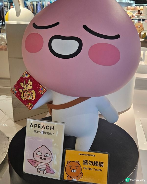 高雄義享時尚廣場 KAKAO FRIENDS高雄店 🤩