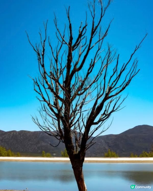 遊覽雲南玉湖村