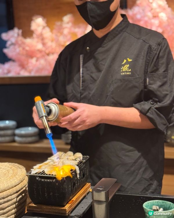 浪漫櫻花雪景🌸性價比超高Omakase！