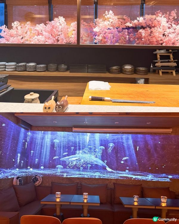 浪漫櫻花雪景🌸性價比超高Omakase！