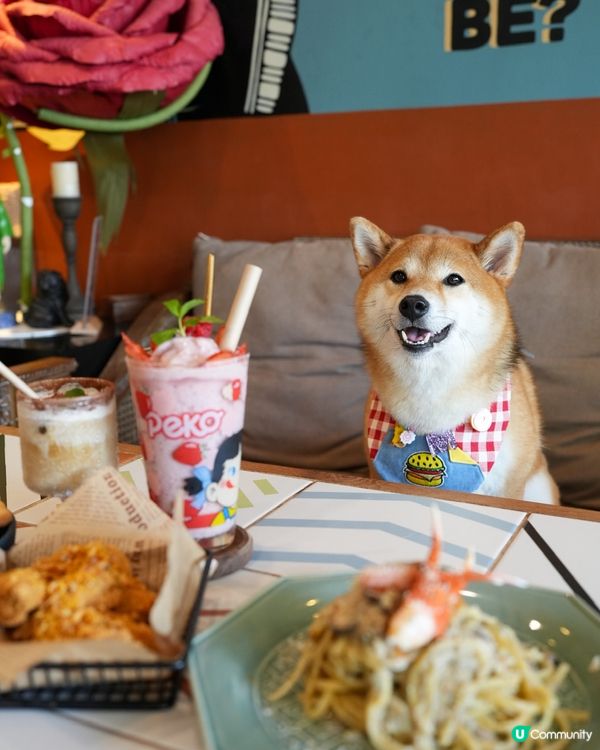 新派寵物友善餐廳 趣味性滿分