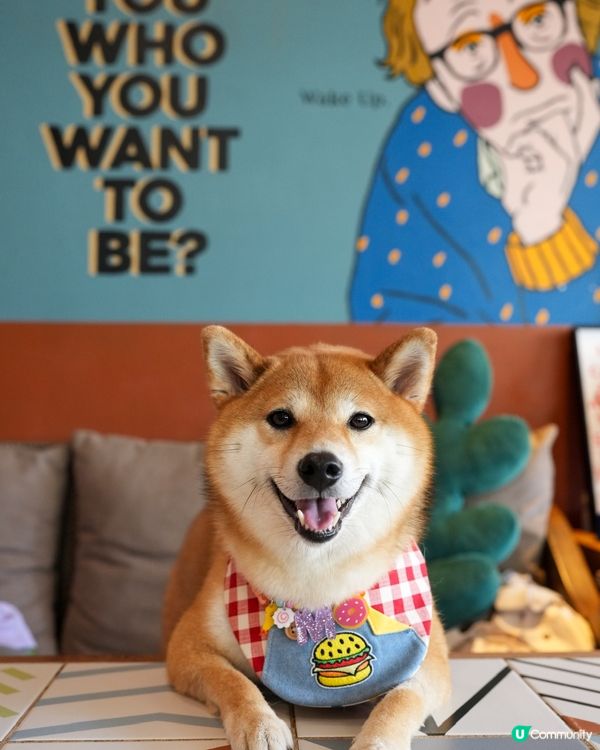 新派寵物友善餐廳 趣味性滿分