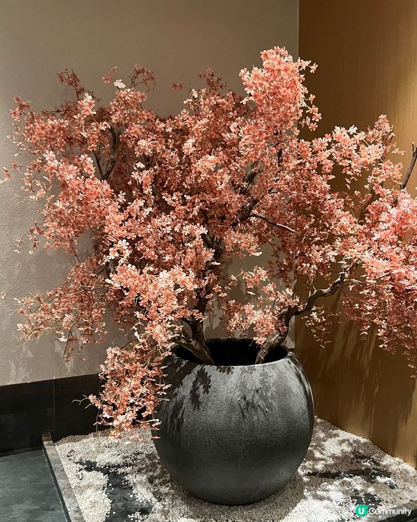 深圳放鬆之旅 🐣 深灣金玉池水療，大人小朋友都啱玩！