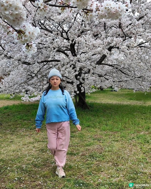 🤣 AI 指令🤣好得意🤣