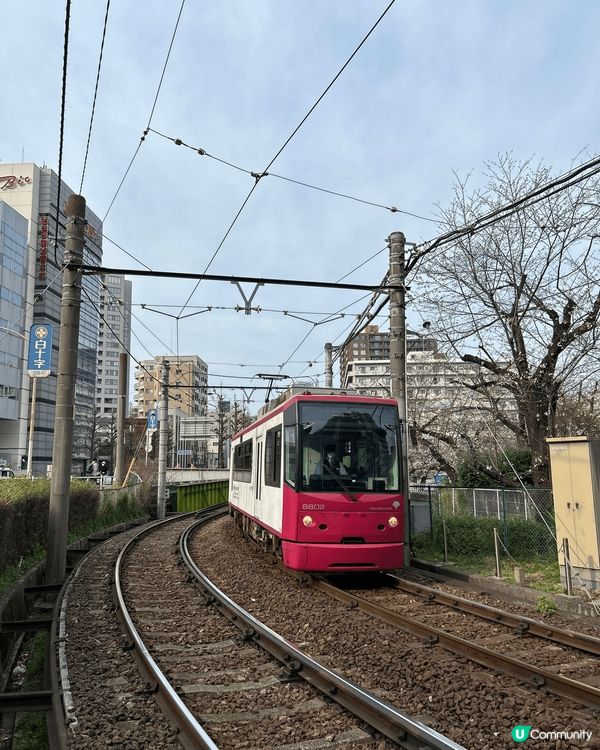 二線賞櫻好選擇，面影橋位於早稻田大學附近，可以坐都電荒川線輕...