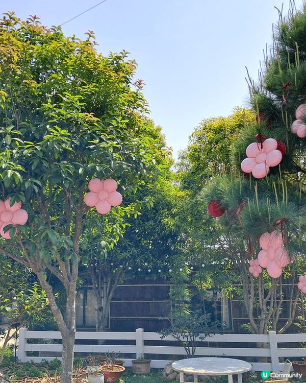 在中國廣西賀州，剛巧是農曆三月紀念劉三姐，有孔子廣場等。