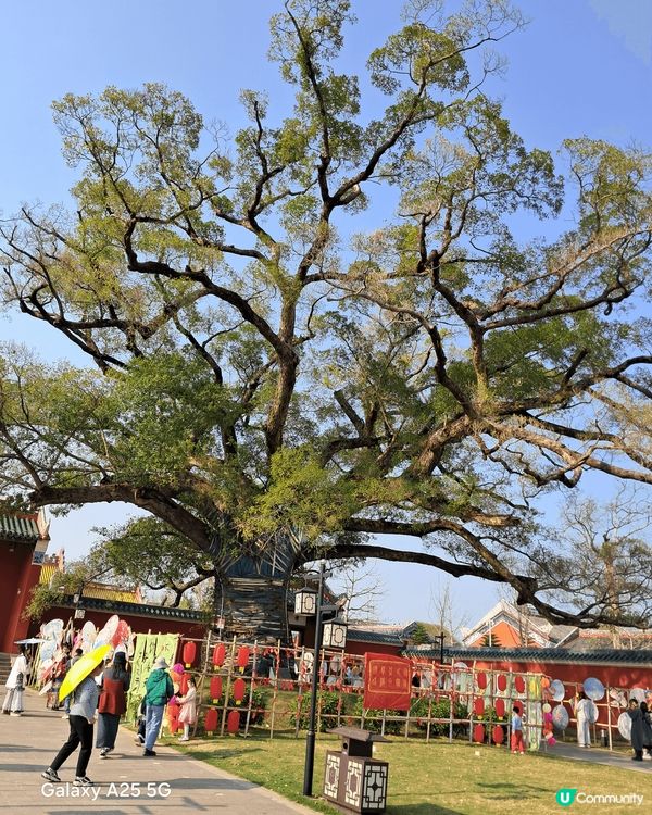 在中國廣西賀州，剛巧是農曆三月紀念劉三姐，有孔子廣場等。