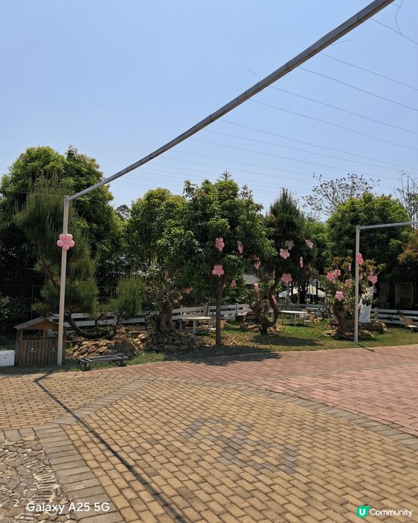 在中國廣西賀州，剛巧是農曆三月紀念劉三姐，有孔子廣場等。