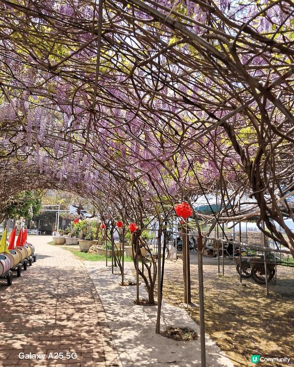 在中國廣西賀州，剛巧是農曆三月紀念劉三姐，有孔子廣場等。