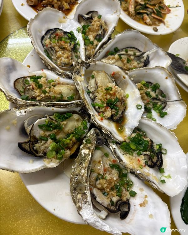 蛇口海鮮試食報告🦞超抵食又好食🤤平到你都唔信😂