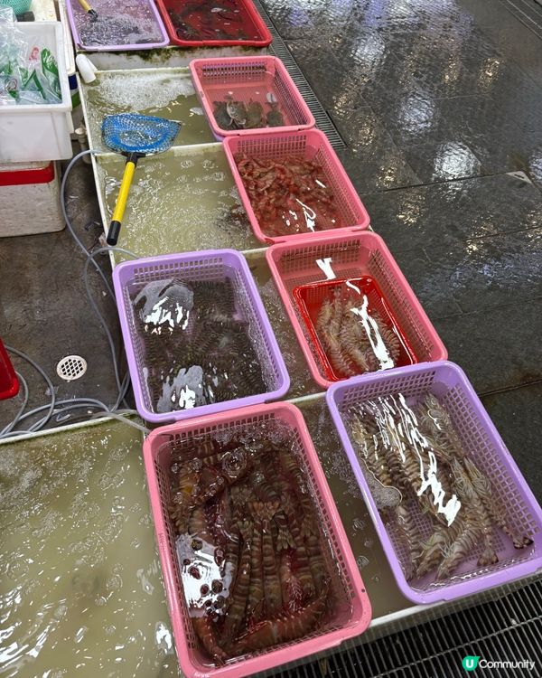 蛇口海鮮試食報告🦞超抵食又好食🤤平到你都唔信😂