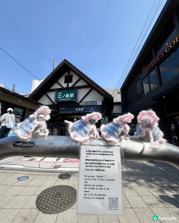 上星期參加了東京的本地遊去鎌倉，主要目的係睇男兒當入樽那個經...