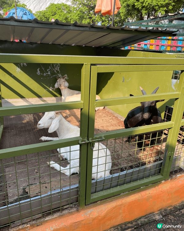 位於龍華區的觀瀾湖站附近的觀瀾湖生態運動公社，入園需按小童成...