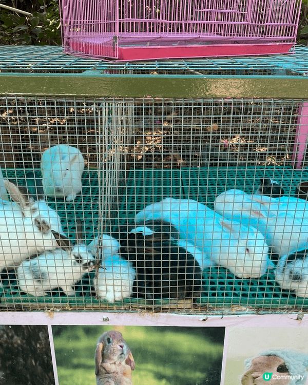 位於龍華區的觀瀾湖站附近的觀瀾湖生態運動公社，入園需按小童成...