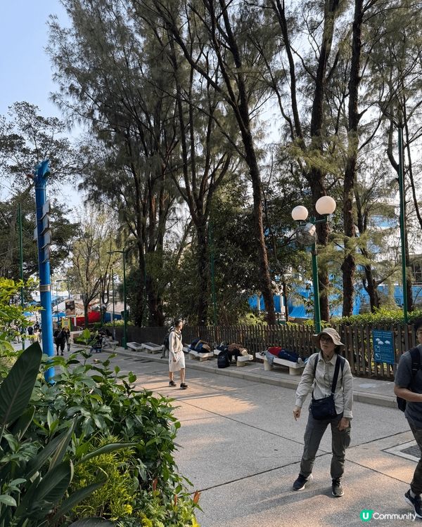 【海洋公園隱藏景點｜搭完列車看日落才是浪漫天花板】🌅