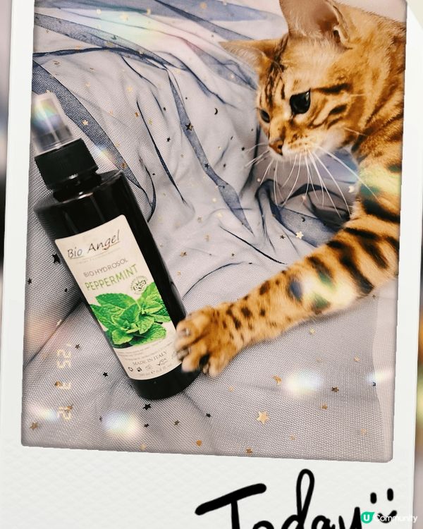 好物分享：天然護膚品PEPPERMINTBIO HYDROS...