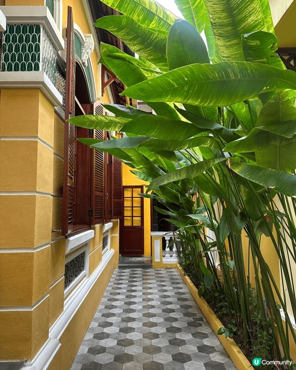 Serene Spa 會安分店真係好正呀！😍 一入去就見到佢...