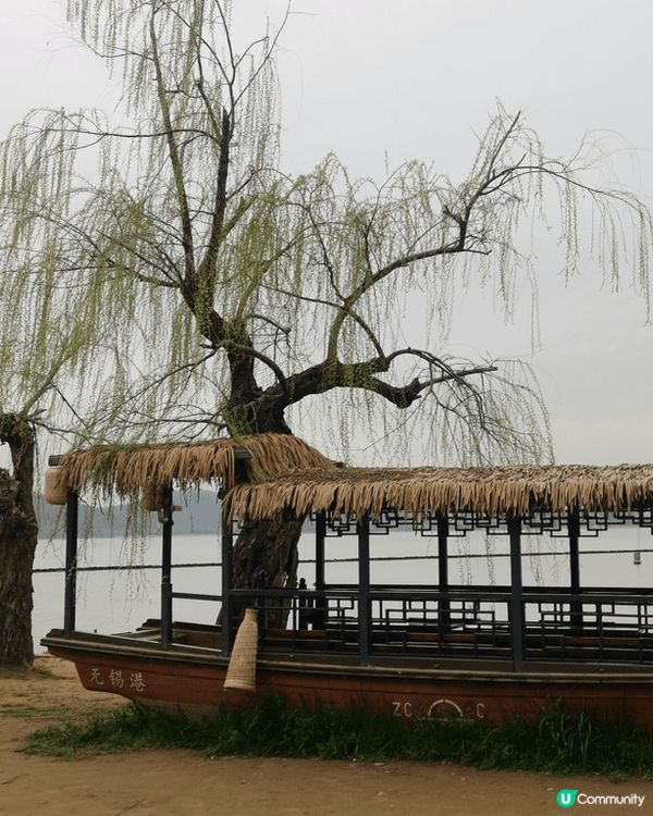 無錫之旅：真的很喜歡太湖，想自己坐在湖邊沉澱休息；很喜歡桃花...