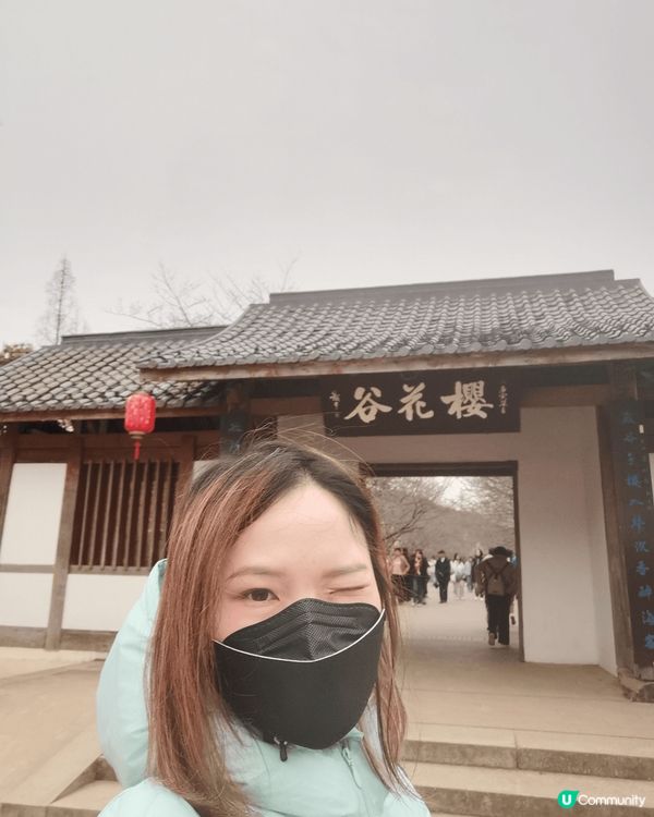 無錫之旅：真的很喜歡太湖，想自己坐在湖邊沉澱休息；很喜歡桃花...