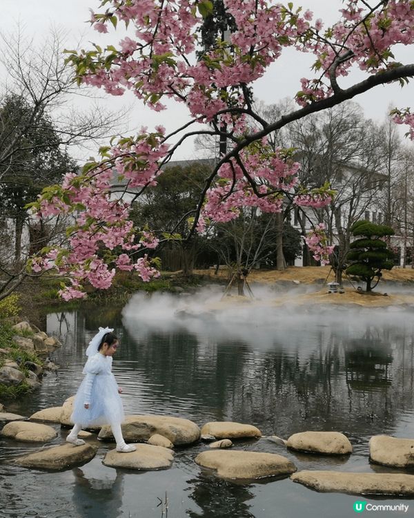 無錫之旅：真的很喜歡太湖，想自己坐在湖邊沉澱休息；很喜歡桃花...