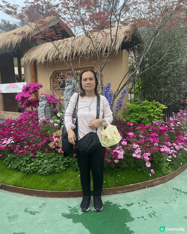 之前去咗維園嘅花卉展，覺得好值得去，因為我平時都唔係太鍾意睇...