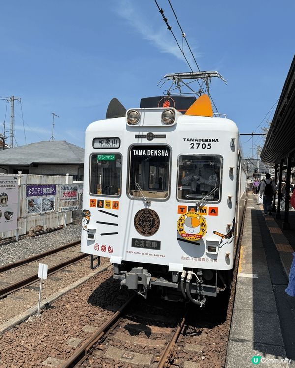今日想同大家介紹和歌山嘅小玉電車！打卡顏值爆燈！大家可以由和...