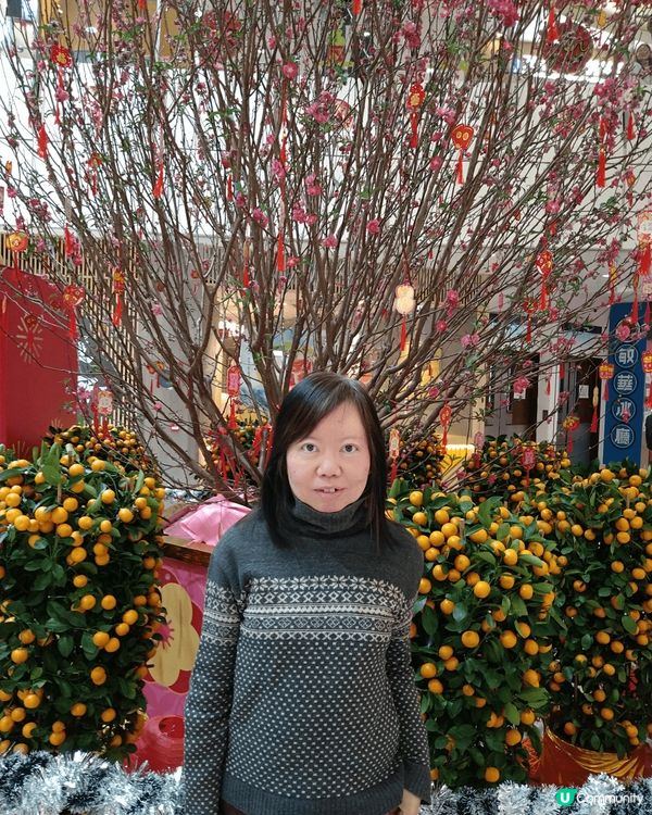 新春佳節、倍感溫馨、桃花盛開、金吉燦爛、一家團聚、樂也融融。