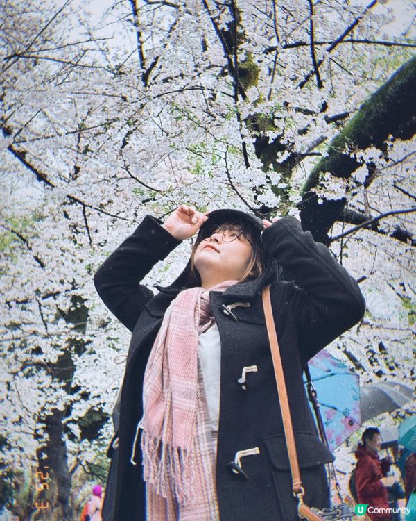 [東京好去處•櫻花•東京上野恩賜公園]