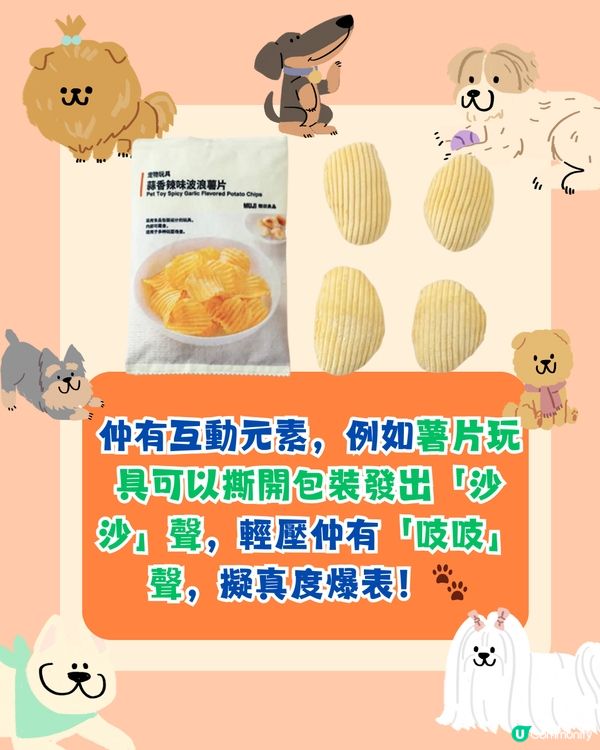 無印良品MUJI新推出寵物零食玩具😍深圳新手信⁉️