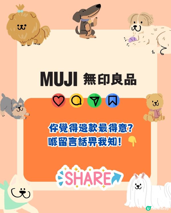 無印良品MUJI新推出寵物零食玩具😍深圳新手信⁉️