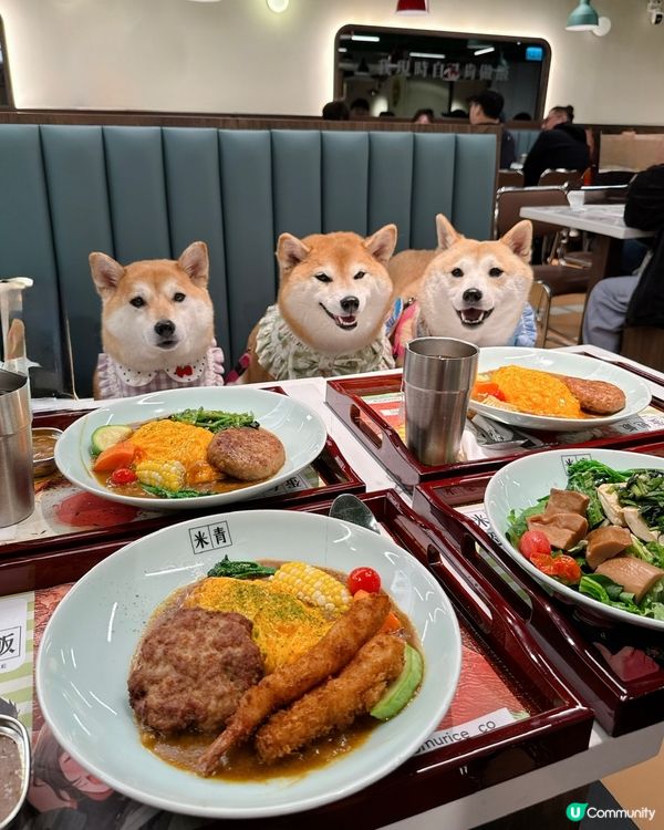 帶毛孩一齊食蛋包飯