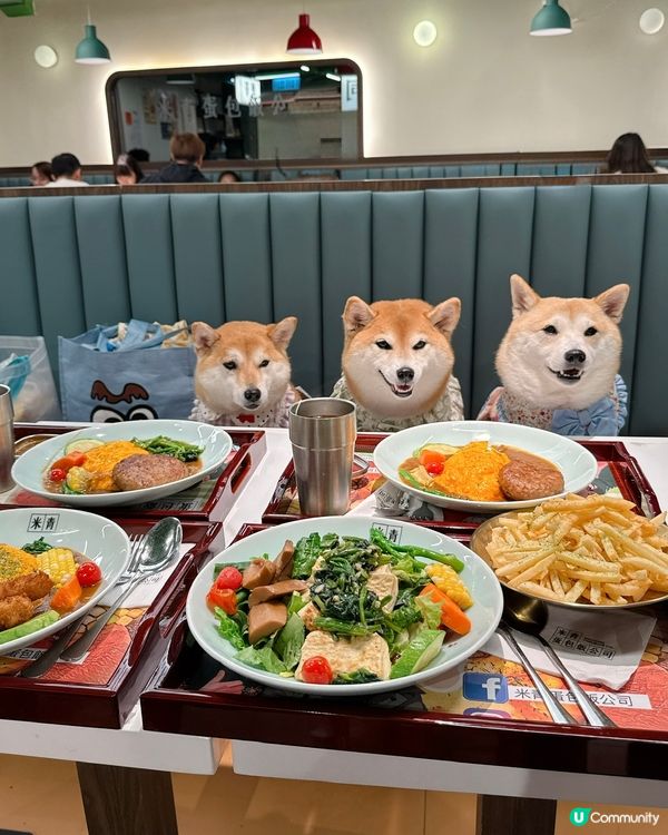 帶毛孩一齊食蛋包飯